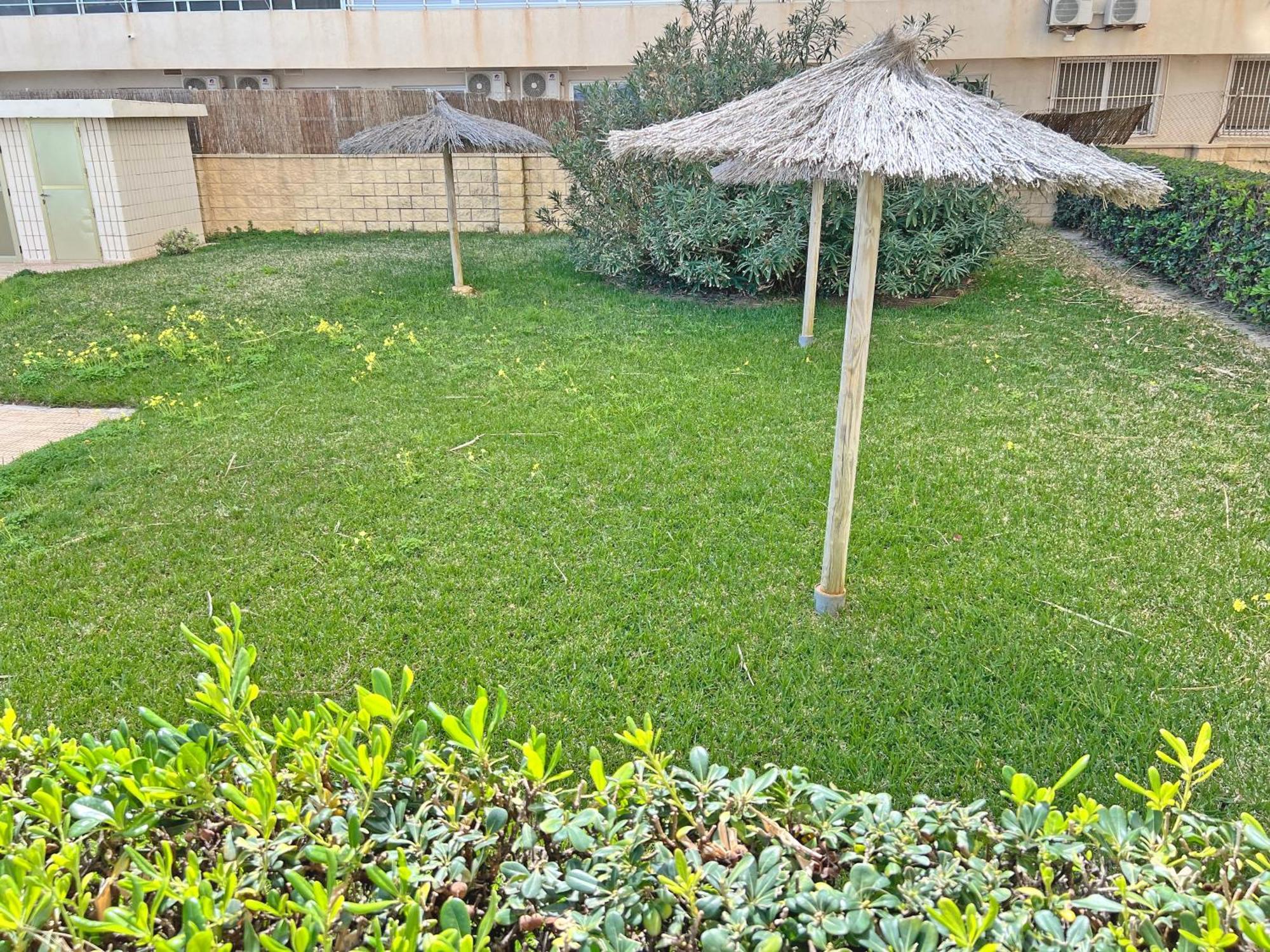Oasis Frente Al Mar. Parking Gratis Apartment El Campello Bagian luar foto