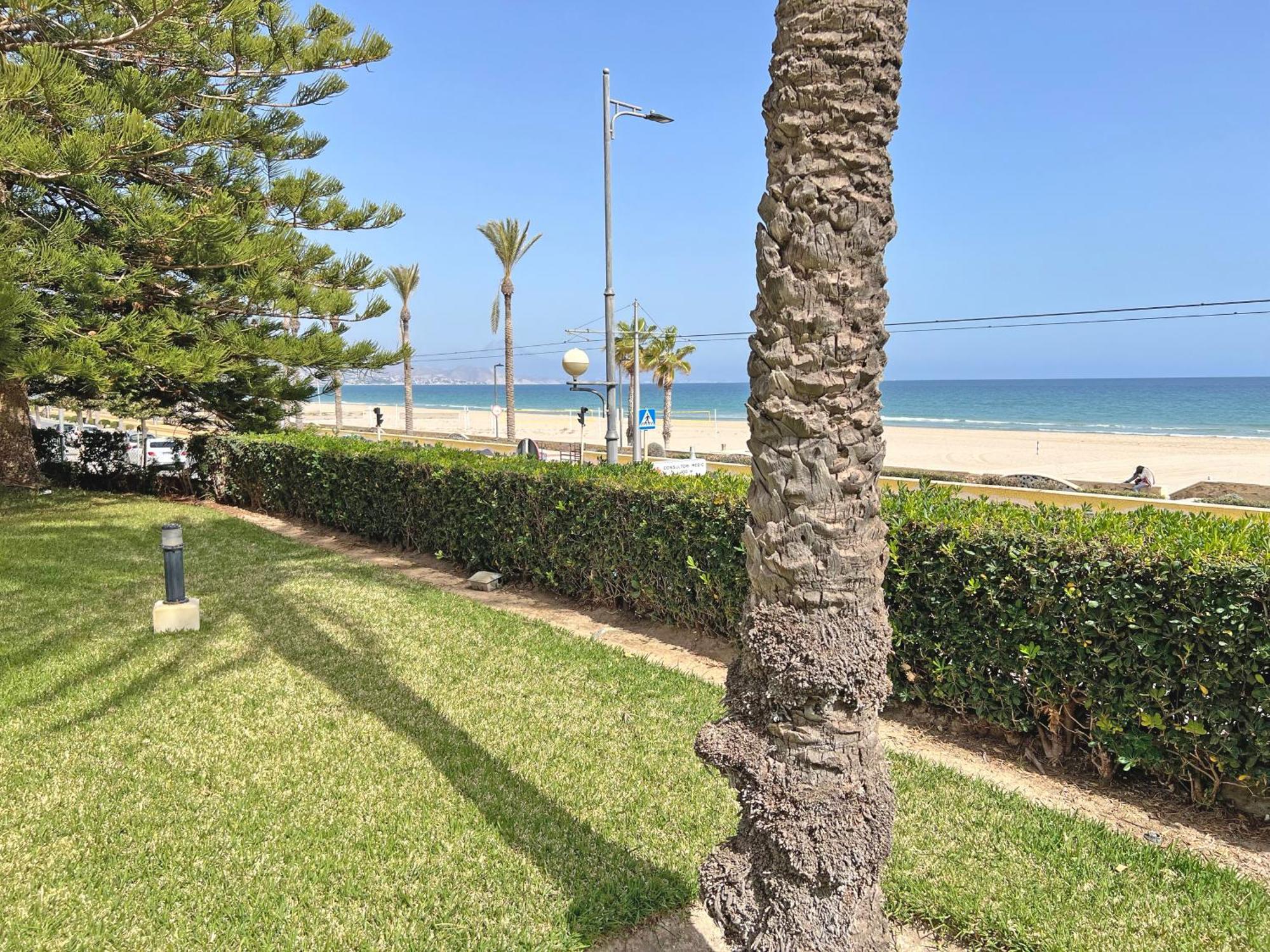 Oasis Frente Al Mar. Parking Gratis Apartment El Campello Bagian luar foto